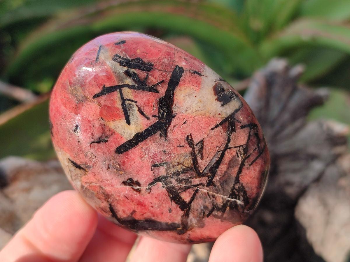Polished Rhodonite Free Forms x 6 From Rhusinga, Zimbabwe - Toprock Gemstones and Minerals 