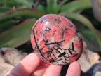 Polished Rhodonite Free Forms x 6 From Rhusinga, Zimbabwe - Toprock Gemstones and Minerals 