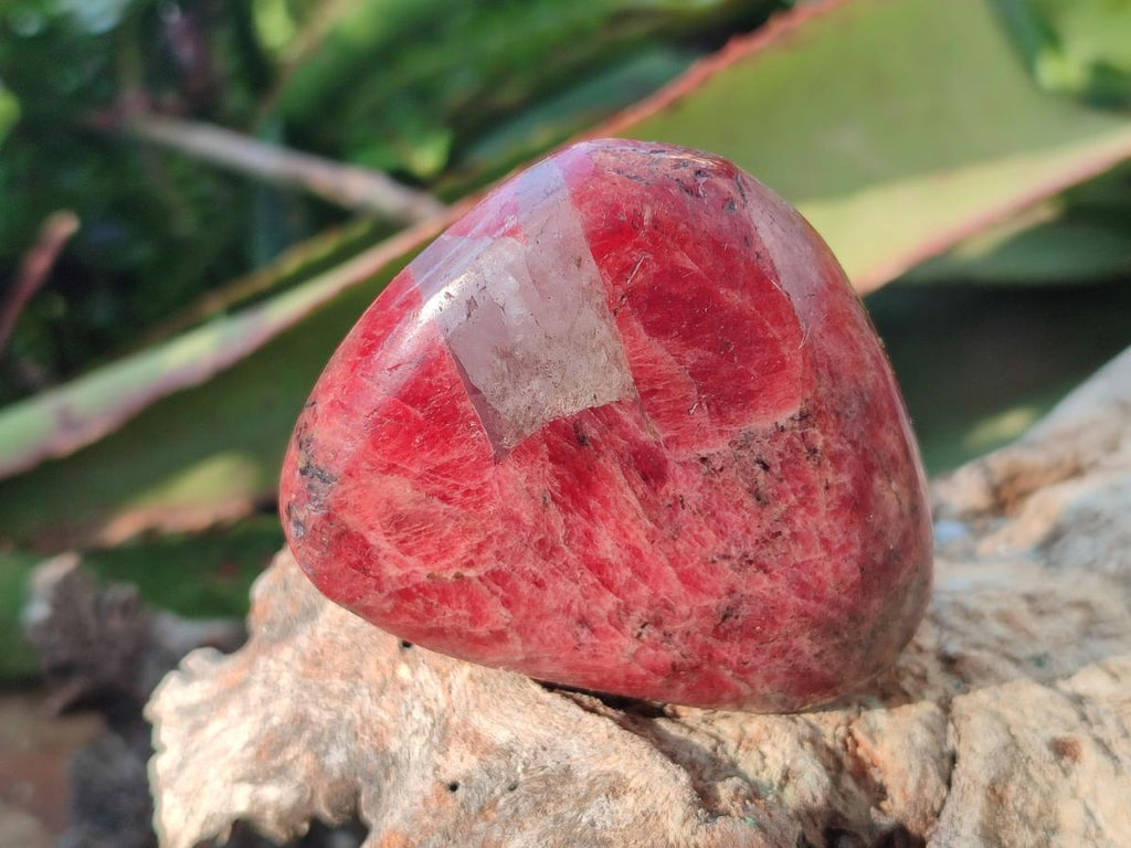 Polished Rhodonite Free Forms x 6 From Rhusinga, Zimbabwe - Toprock Gemstones and Minerals 