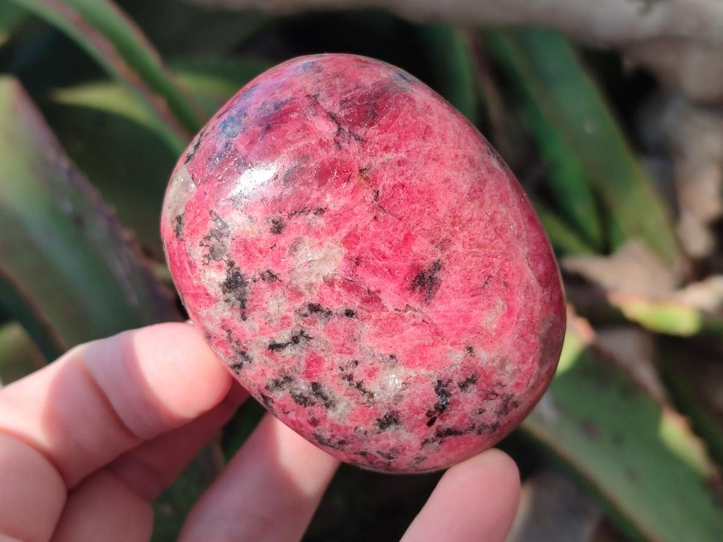 Polished Rhodonite Free Forms x 6 From Rhusinga, Zimbabwe - Toprock Gemstones and Minerals 