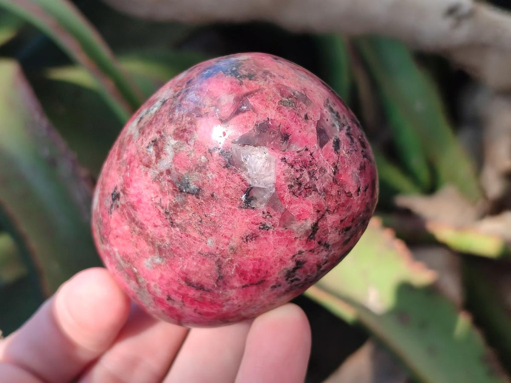 Polished Rhodonite Free Forms x 6 From Rhusinga, Zimbabwe - Toprock Gemstones and Minerals 