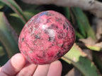 Polished Rhodonite Free Forms x 6 From Rhusinga, Zimbabwe - Toprock Gemstones and Minerals 