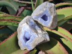 Natural Blue Lace Agate Geode Specimens x 6 From Nsanje, Malawi - Toprock Gemstones and Minerals 