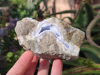 Natural Blue Lace Agate Geode Specimens x 6 From Nsanje, Malawi - Toprock Gemstones and Minerals 