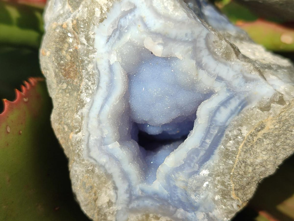 Natural Blue Lace Agate Geode Specimens x 6 From Nsanje, Malawi - Toprock Gemstones and Minerals 