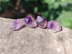 Natural Mini Window Amethyst Crystals x 0,9 Kg Lot From Chiredzi, Zimbabwe - Toprock Gemstones and Minerals 