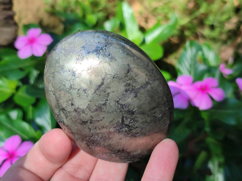 Polished Basalt Pharaoh Stone Free Forms x 6 From Iron Duke Mine, Zimbabwe - Toprock Gemstones and Minerals 