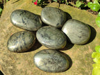 Polished Basalt Pharaoh Stone Free Forms x 6 From Iron Duke Mine, Zimbabwe - Toprock Gemstones and Minerals 