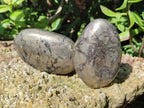 Polished Basalt Pharaoh Stone Free Forms x 6 From Iron Duke Mine, Zimbabwe - Toprock Gemstones and Minerals 