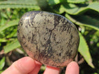 Polished Basalt Pharaoh Stone Free Forms x 6 From Iron Duke Mine, Zimbabwe - Toprock Gemstones and Minerals 