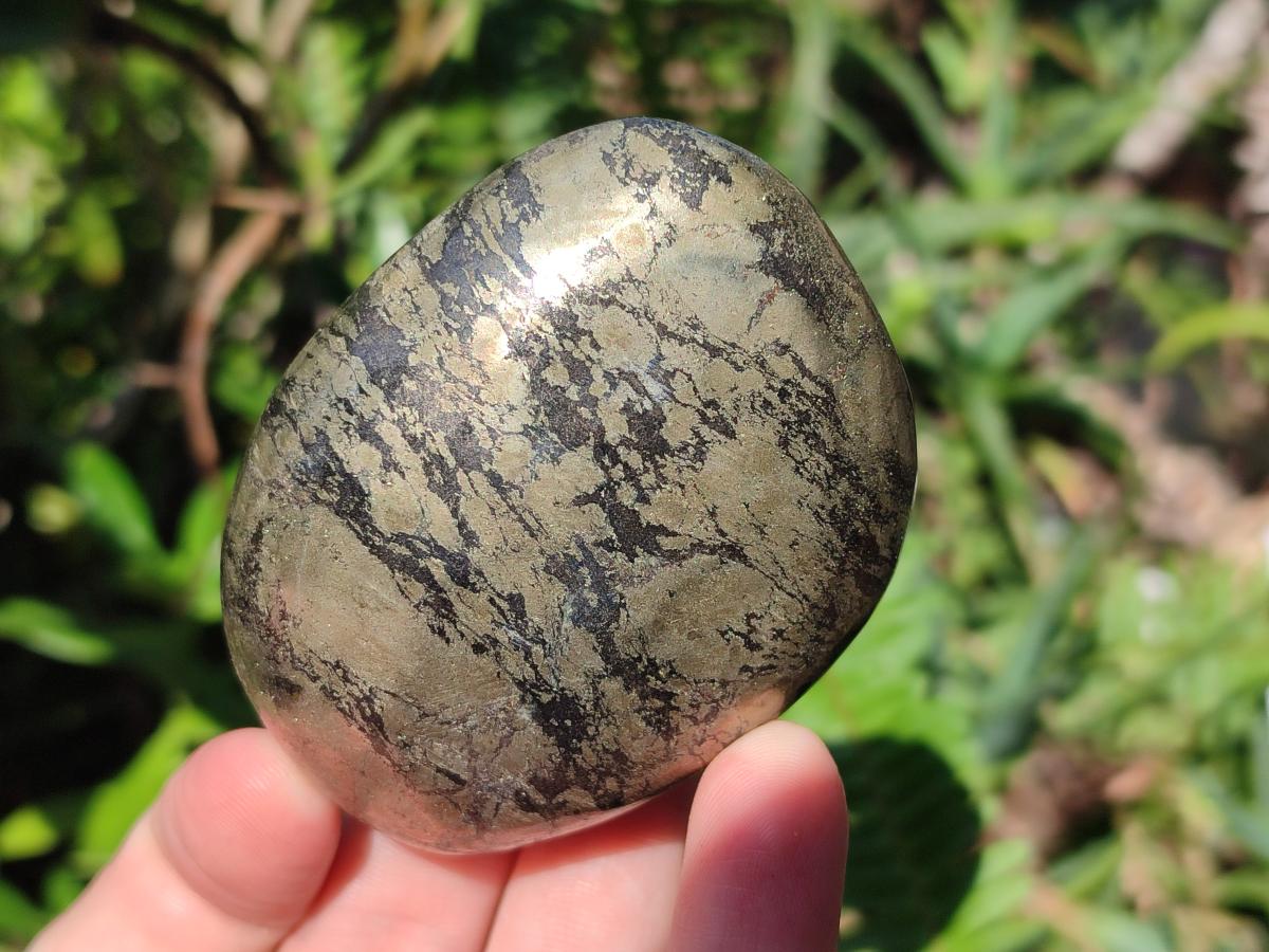Polished Basalt Pharaoh Stone Free Forms x 6 From Iron Duke Mine, Zimbabwe - Toprock Gemstones and Minerals 