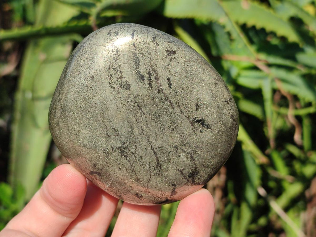 Polished Basalt Pharaoh Stone Free Forms x 6 From Iron Duke Mine, Zimbabwe - Toprock Gemstones and Minerals 