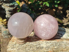Polished Gemmy Star Rose Girasol Quartz Spheres x 2 From Madagascar - Toprock Gemstones and Minerals 