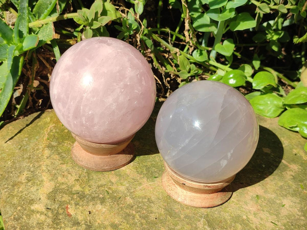 Polished Gemmy Star Rose Girasol Quartz Spheres x 2 From Madagascar - Toprock Gemstones and Minerals 