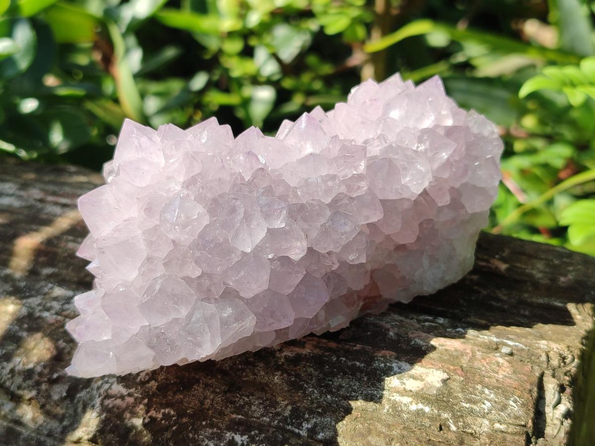 Natural Mix of Spirit Quartz Clusters x 6 From Boekenhouthoek, South Africa - Toprock Gemstones and Minerals 