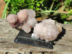 Natural Mix of Spirit Quartz Clusters x 6 From Boekenhouthoek, South Africa - Toprock Gemstones and Minerals 