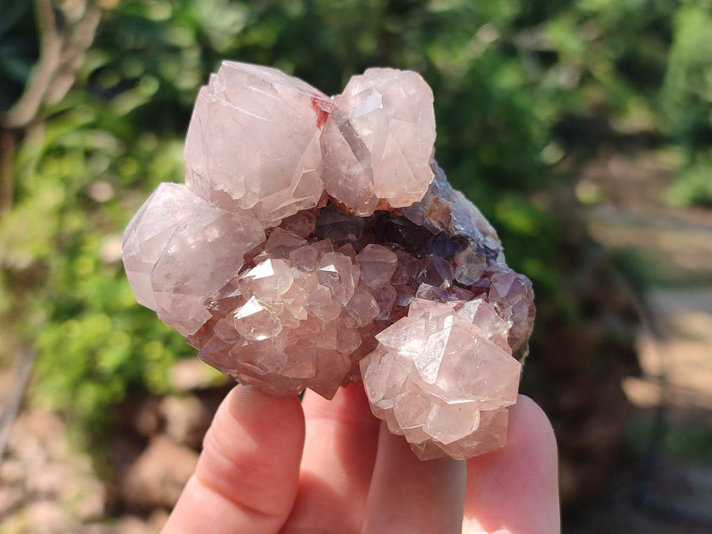 Natural Mix of Spirit Quartz Clusters x 6 From Boekenhouthoek, South Africa - Toprock Gemstones and Minerals 