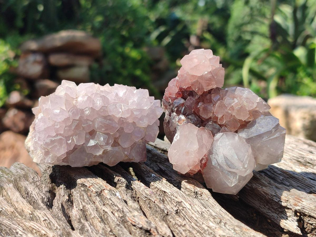 Natural Mix of Spirit Quartz Clusters x 6 From Boekenhouthoek, South Africa - Toprock Gemstones and Minerals 