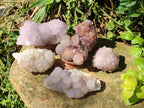 Natural Mix of Spirit Quartz Clusters x 6 From Boekenhouthoek, South Africa - Toprock Gemstones and Minerals 