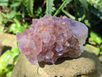 Natural Mix of Spirit Quartz Clusters x 6 From Boekenhouthoek, South Africa - Toprock Gemstones and Minerals 
