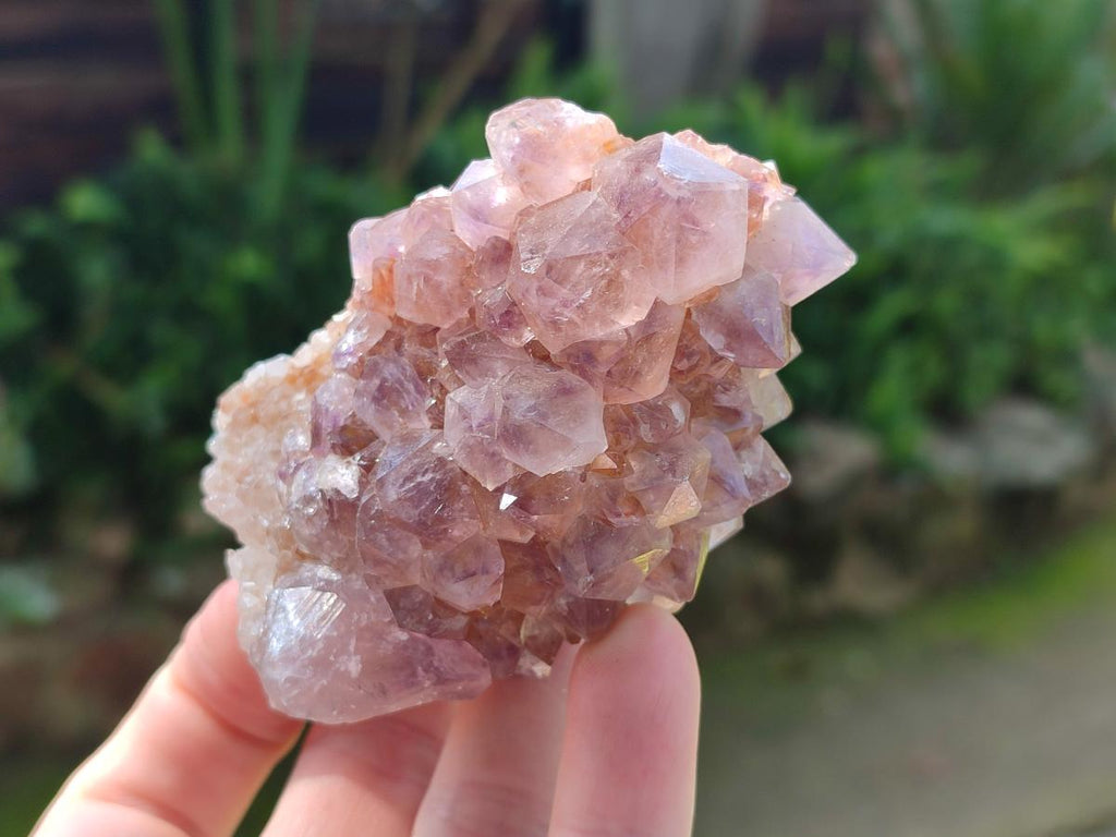 Natural Mix of Spirit Quartz Clusters x 6 From Boekenhouthoek, South Africa - Toprock Gemstones and Minerals 