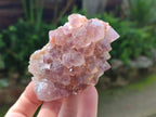 Natural Mix of Spirit Quartz Clusters x 6 From Boekenhouthoek, South Africa - Toprock Gemstones and Minerals 
