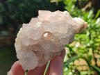 Natural Mix of Spirit Quartz Clusters x 6 From Boekenhouthoek, South Africa - Toprock Gemstones and Minerals 