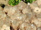 Natural XXL Cascading White Phantom Smokey Luena Quartz Cluster x 1 From Luena, Congo - Toprock Gemstones and Minerals 