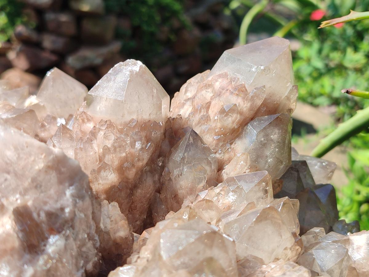 Natural XXL Cascading White Phantom Smokey Luena Quartz Cluster x 1 From Luena, Congo - Toprock Gemstones and Minerals 