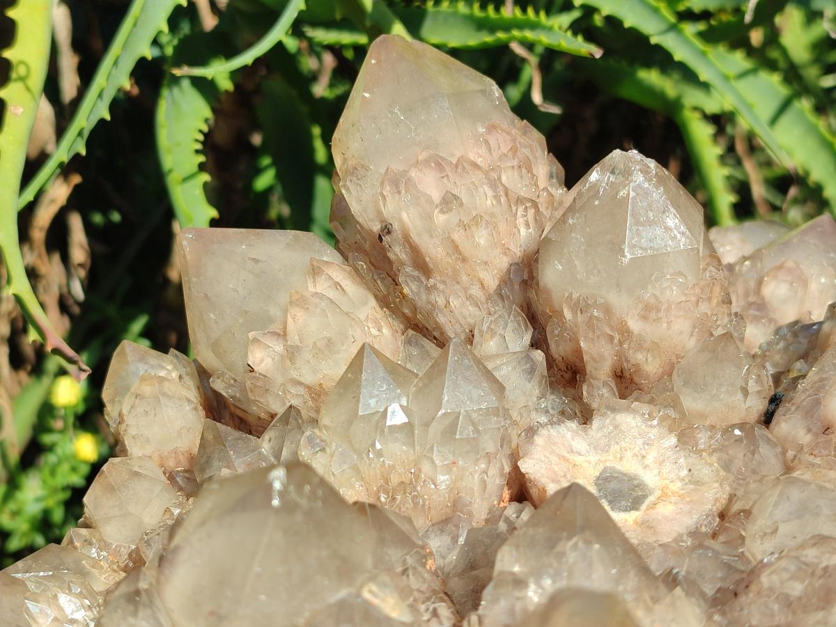 Natural XXL Cascading White Phantom Smokey Luena Quartz Cluster x 1 From Luena, Congo - Toprock Gemstones and Minerals 