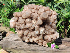 Natural XXL Cascading White Phantom Smokey Luena Quartz Cluster x 1 From Luena, Congo - Toprock Gemstones and Minerals 