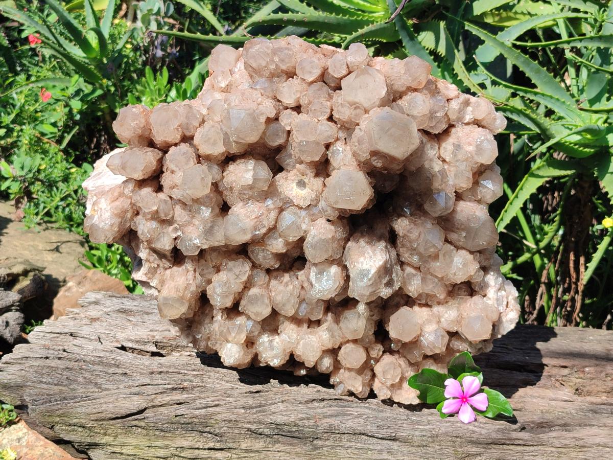 Natural XXL Cascading White Phantom Smokey Luena Quartz Cluster x 1 From Luena, Congo - Toprock Gemstones and Minerals 