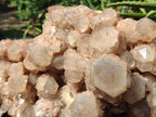 Natural XXL Cascading White Phantom Smokey Luena Quartz Cluster x 1 From Luena, Congo - Toprock Gemstones and Minerals 