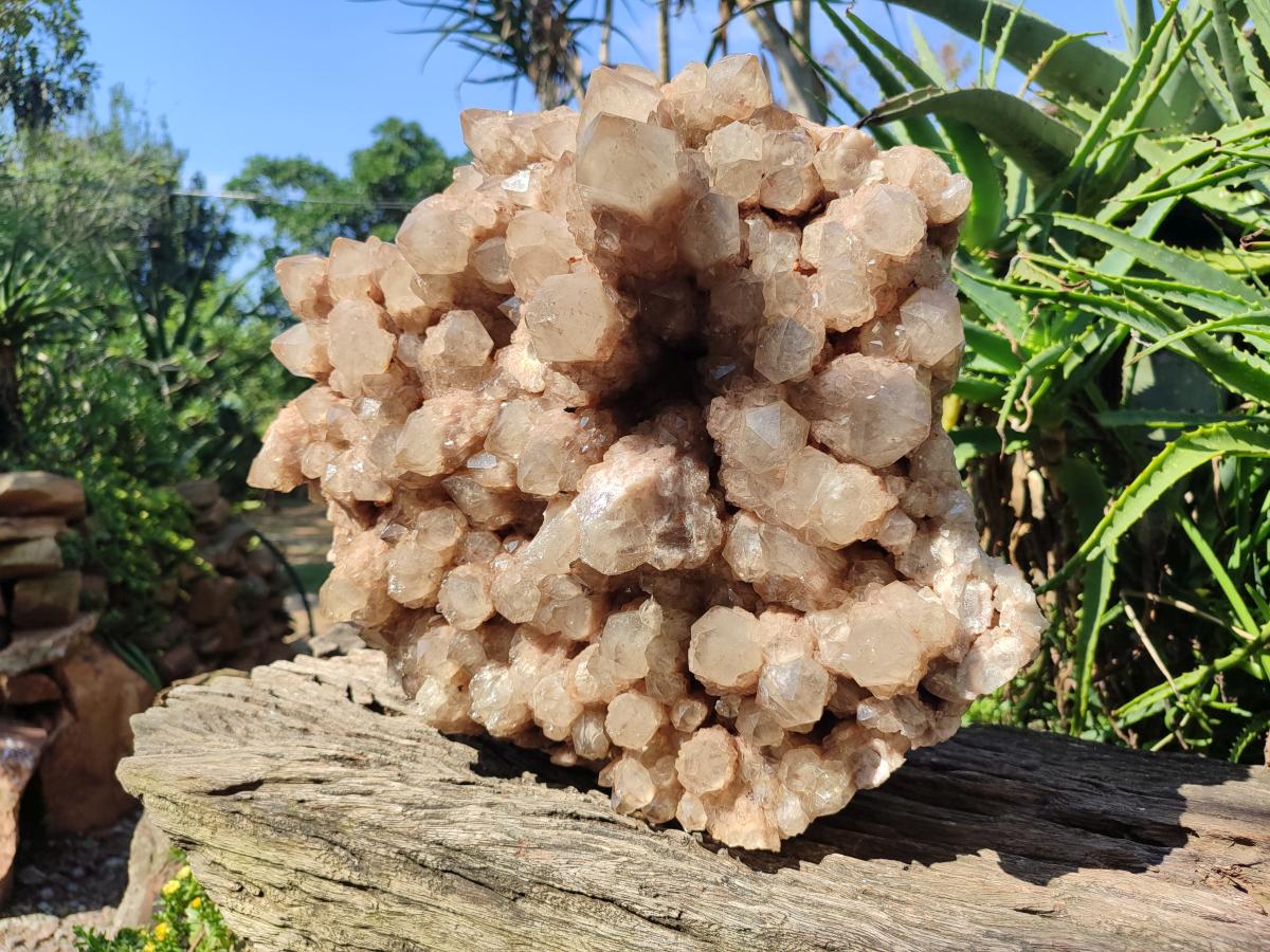 Natural XXL Cascading White Phantom Smokey Luena Quartz Cluster x 1 From Luena, Congo - Toprock Gemstones and Minerals 