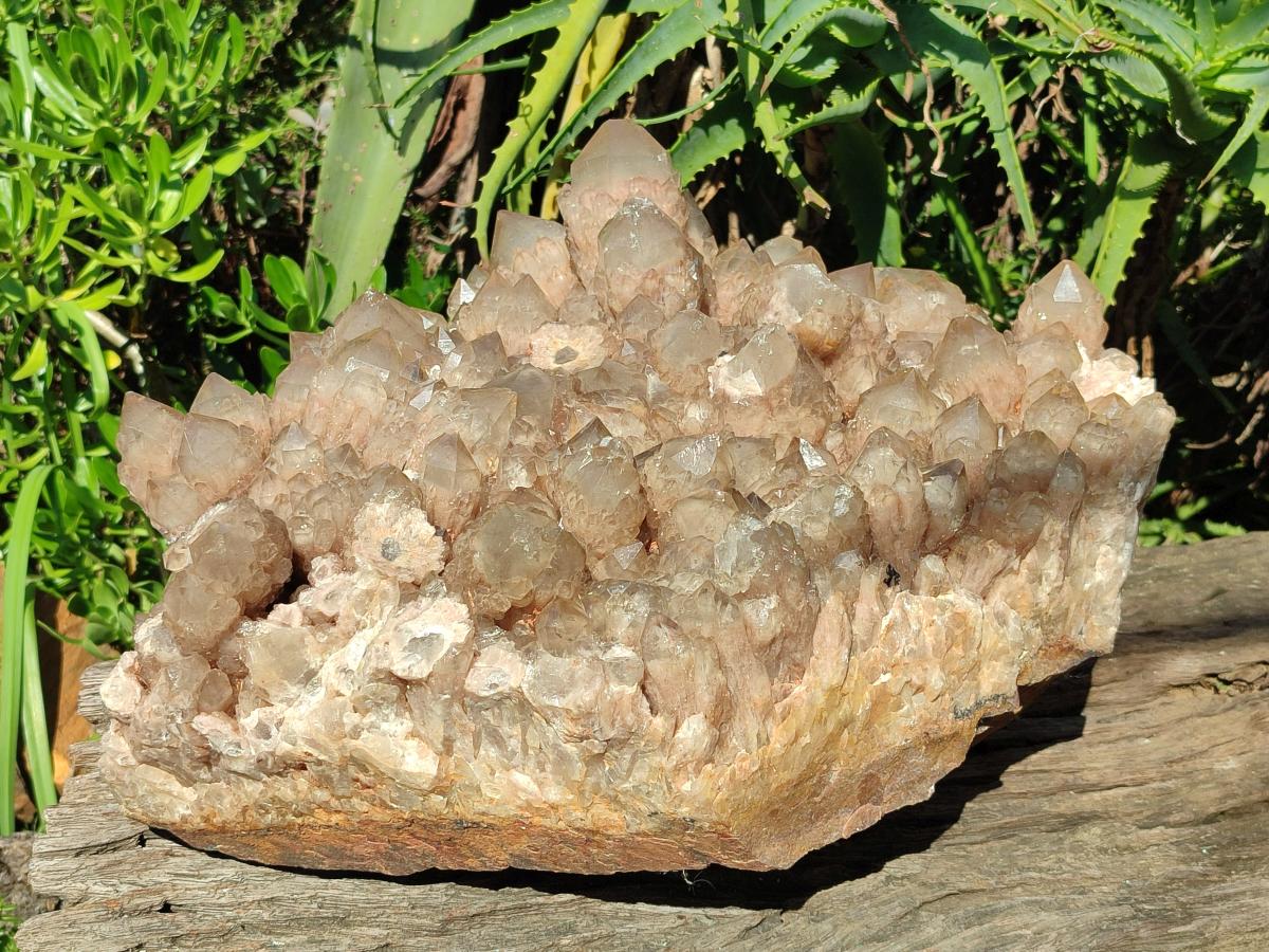 Natural XXL Cascading White Phantom Smokey Luena Quartz Cluster x 1 From Luena, Congo - Toprock Gemstones and Minerals 