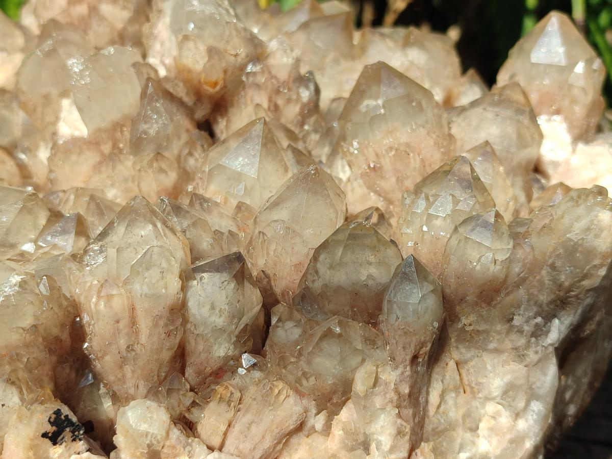 Natural XXL Cascading White Phantom Smokey Luena Quartz Cluster x 1 From Luena, Congo - Toprock Gemstones and Minerals 