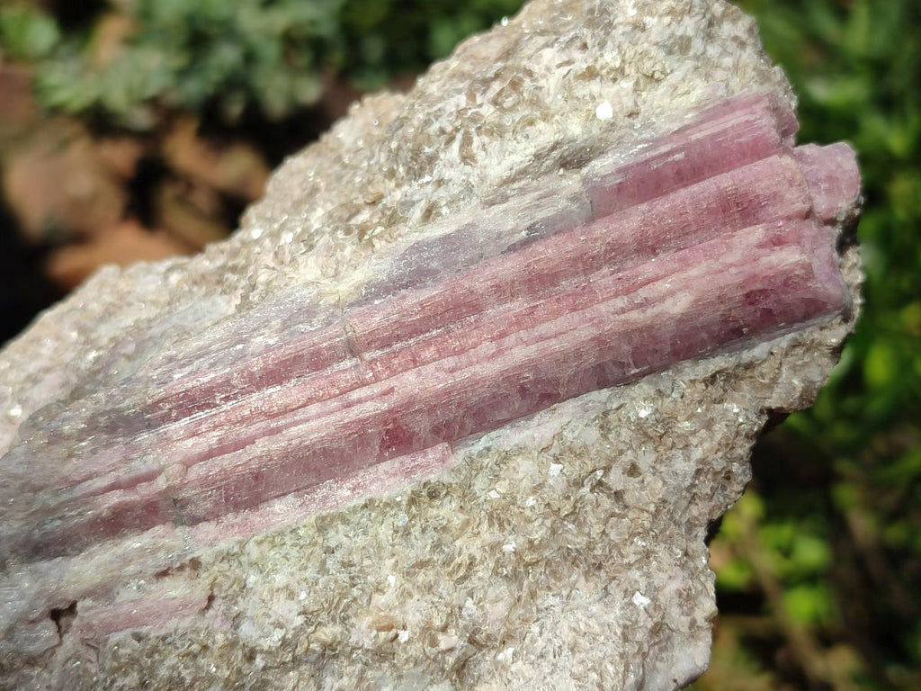 Natural Pink Rubellite Tourmaline Specimens x 3 From Karibib, Namibia - Toprock Gemstones and Minerals 