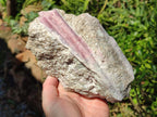 Natural Pink Rubellite Tourmaline Specimens x 3 From Karibib, Namibia - Toprock Gemstones and Minerals 