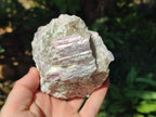 Natural Pink Rubellite Tourmaline Specimens x 3 From Karibib, Namibia - Toprock Gemstones and Minerals 