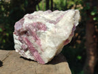 Natural Pink Rubellite Tourmaline Specimens x 3 From Karibib, Namibia - Toprock Gemstones and Minerals 