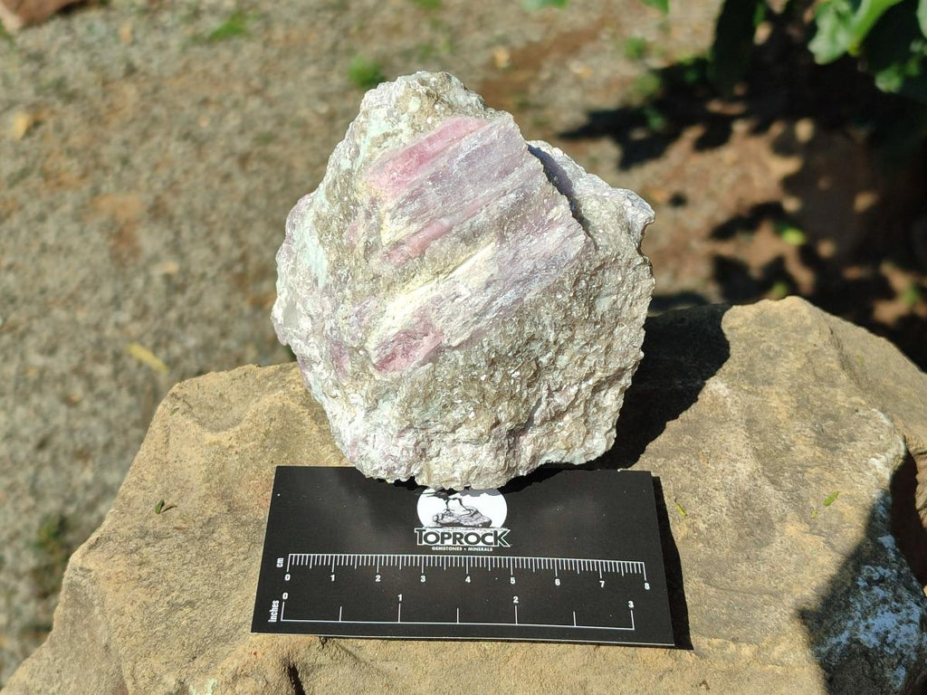Natural Pink Rubellite Tourmaline Specimens x 3 From Karibib, Namibia - Toprock Gemstones and Minerals 