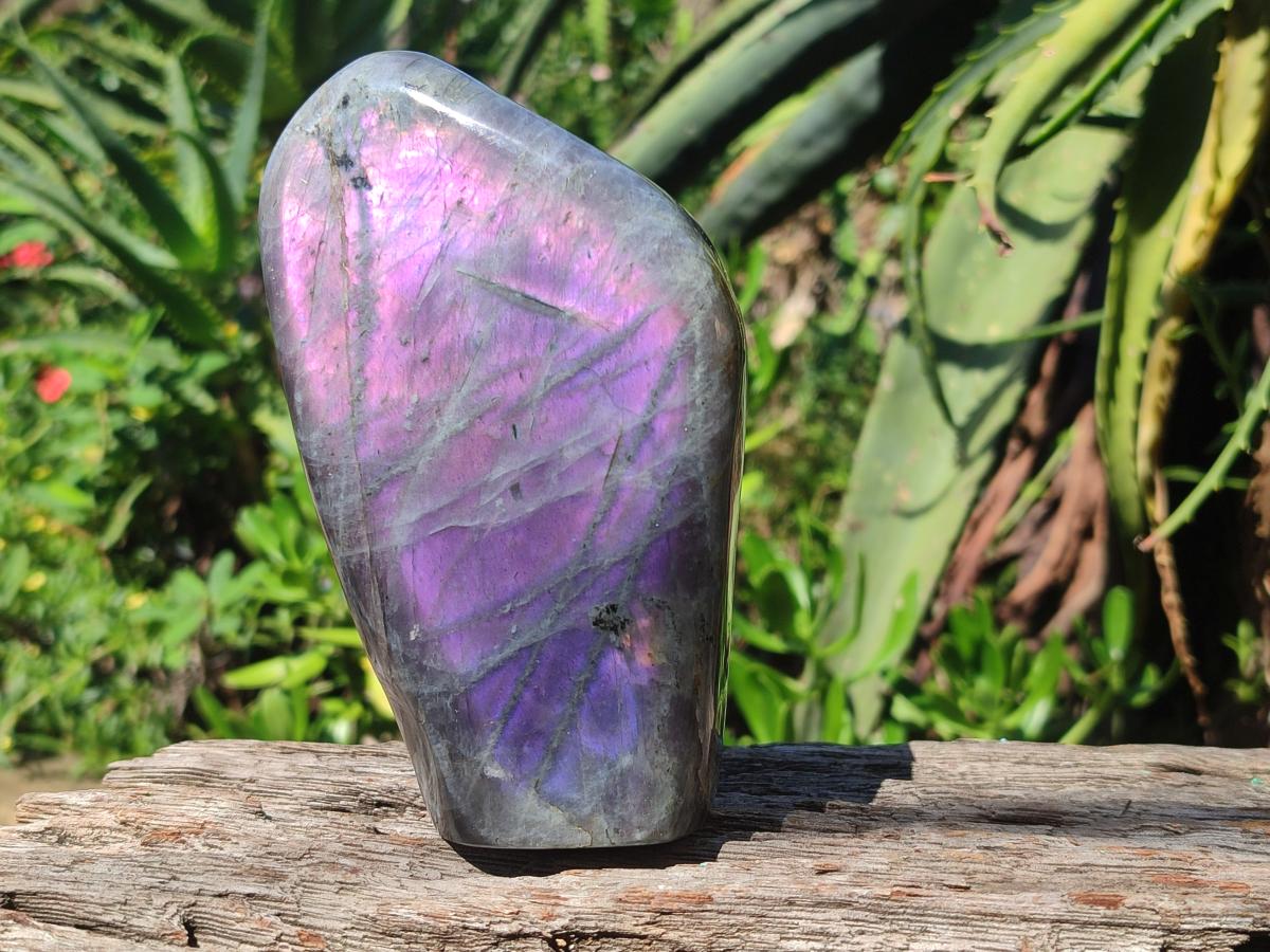 Polished Rare Purple Sunset Flash Labradorite Standing Display Pieces x 2 From Madagascar - Toprock Gemstones and Minerals 
