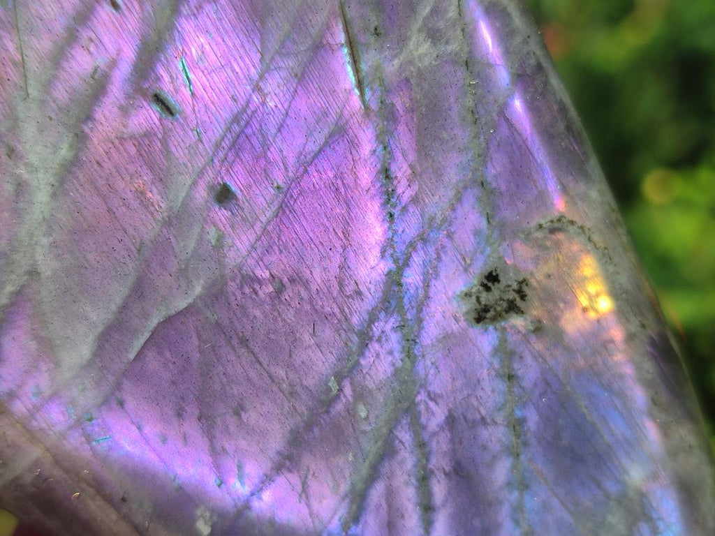 Polished Rare Purple Sunset Flash Labradorite Standing Display Pieces x 2 From Madagascar - Toprock Gemstones and Minerals 