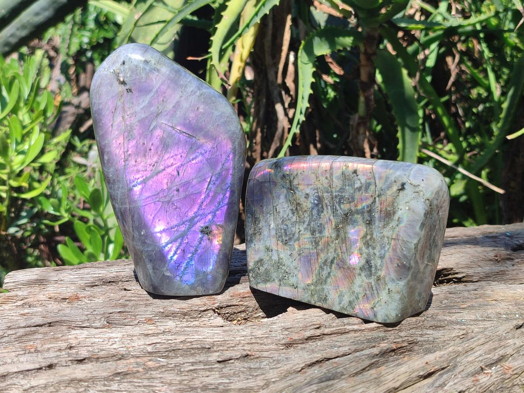 Polished Rare Purple Sunset Flash Labradorite Standing Display Pieces x 2 From Madagascar - Toprock Gemstones and Minerals 