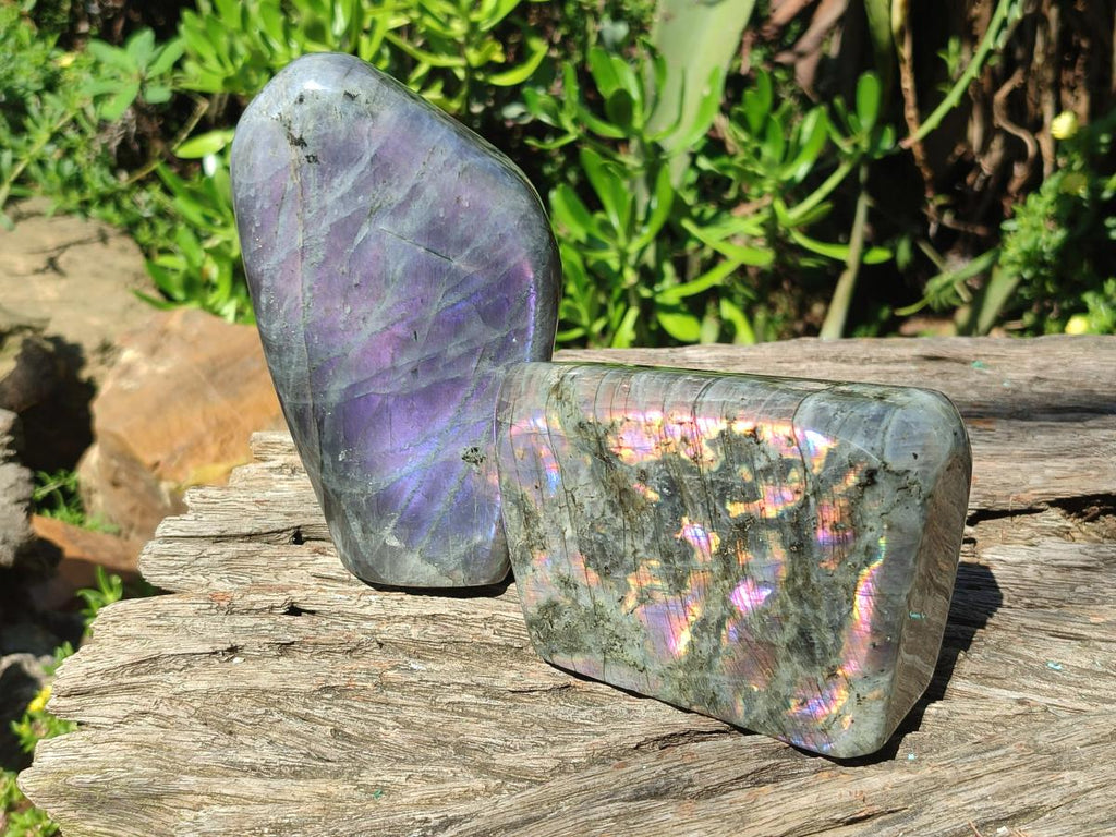 Polished Rare Purple Sunset Flash Labradorite Standing Display Pieces x 2 From Madagascar - Toprock Gemstones and Minerals 