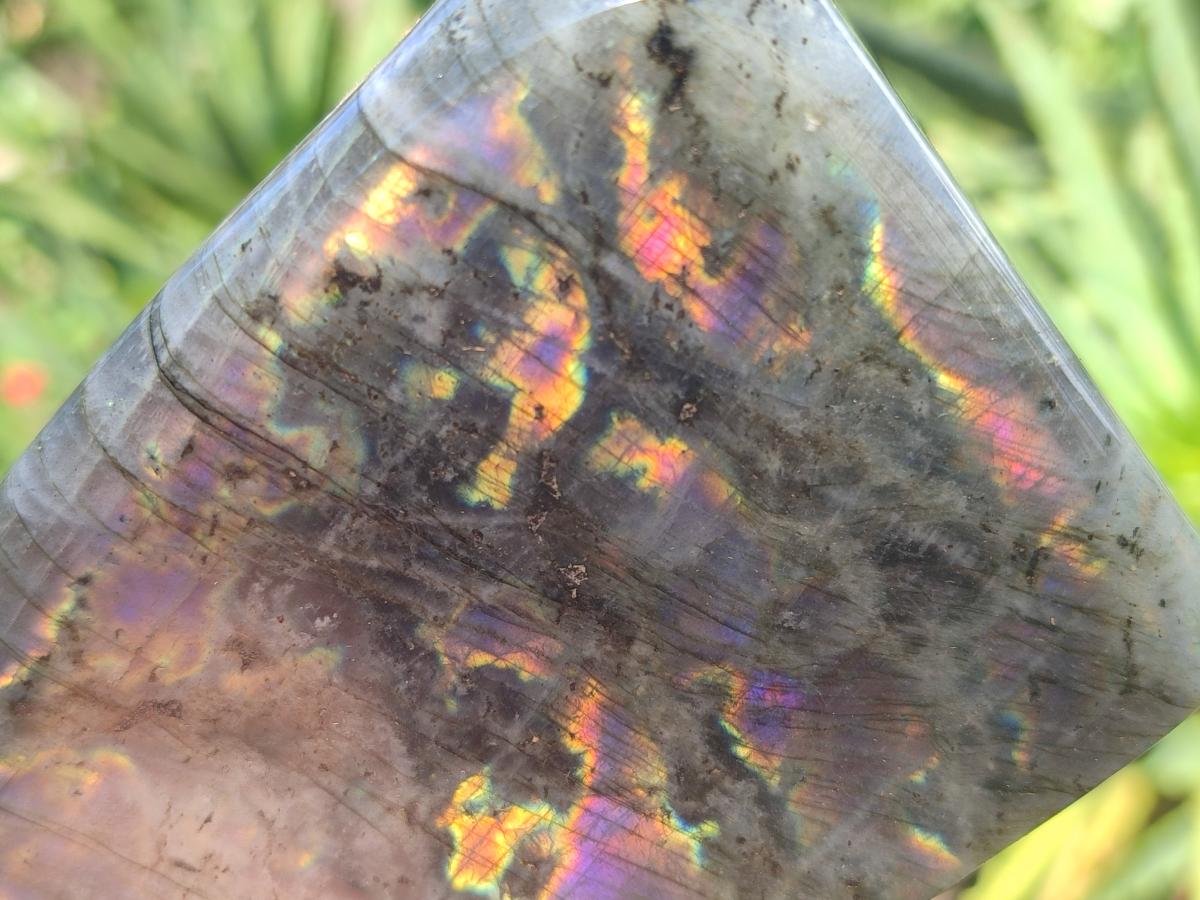 Polished Rare Purple Sunset Flash Labradorite Standing Display Pieces x 2 From Madagascar - Toprock Gemstones and Minerals 