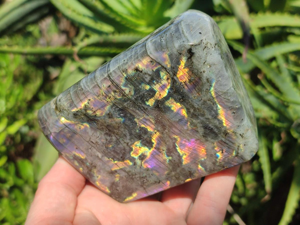 Polished Rare Purple Sunset Flash Labradorite Standing Display Pieces x 2 From Madagascar - Toprock Gemstones and Minerals 