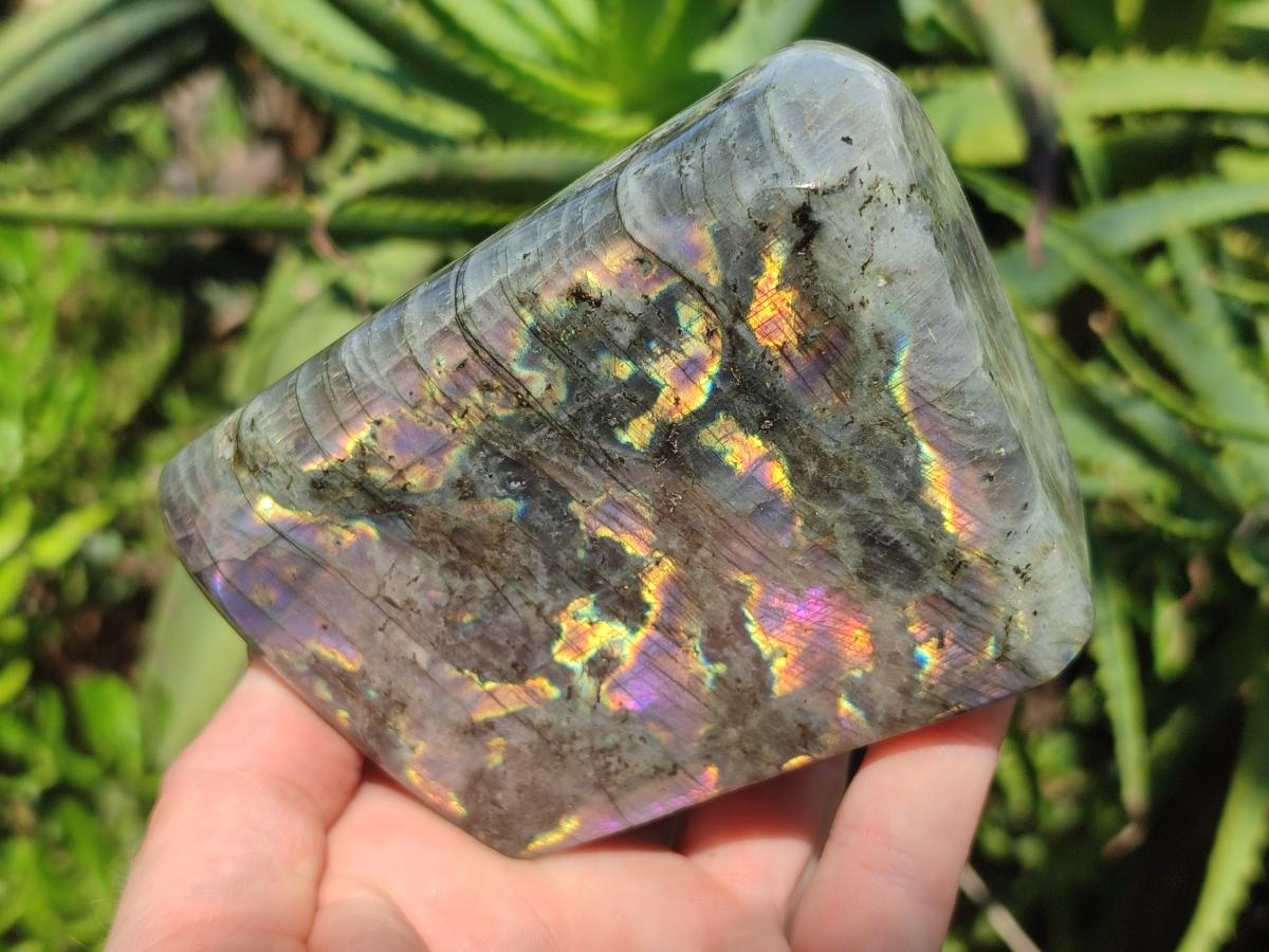 Polished Rare Purple Sunset Flash Labradorite Standing Display Pieces x 2 From Madagascar - Toprock Gemstones and Minerals 