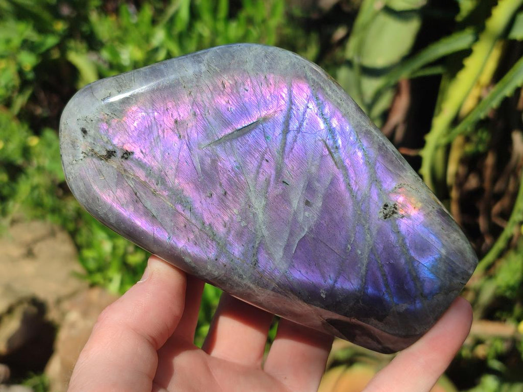 Polished Rare Purple Sunset Flash Labradorite Standing Display Pieces x 2 From Madagascar - Toprock Gemstones and Minerals 