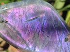 Polished Rare Purple Sunset Flash Labradorite Standing Display Pieces x 2 From Madagascar - Toprock Gemstones and Minerals 